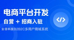 開發(fā)一個商城要花多少錢