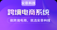 學(xué)習(xí)哪些知識對跨境電商拼團(tuán)有用